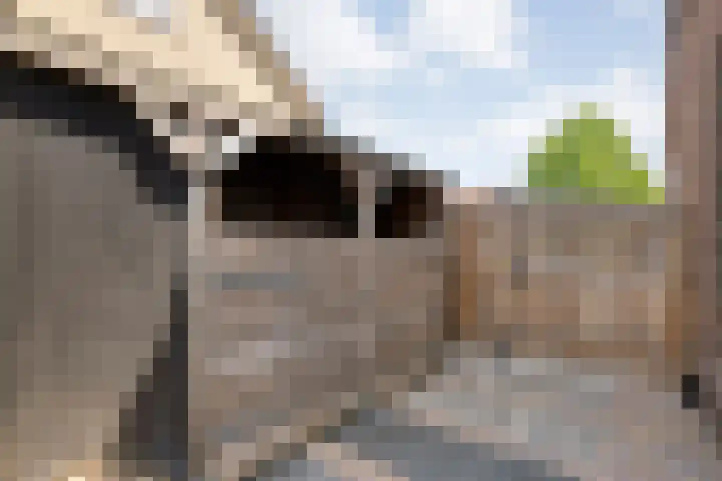 Scholtensstraat 14 Nieuw Heeten thumbnail 41