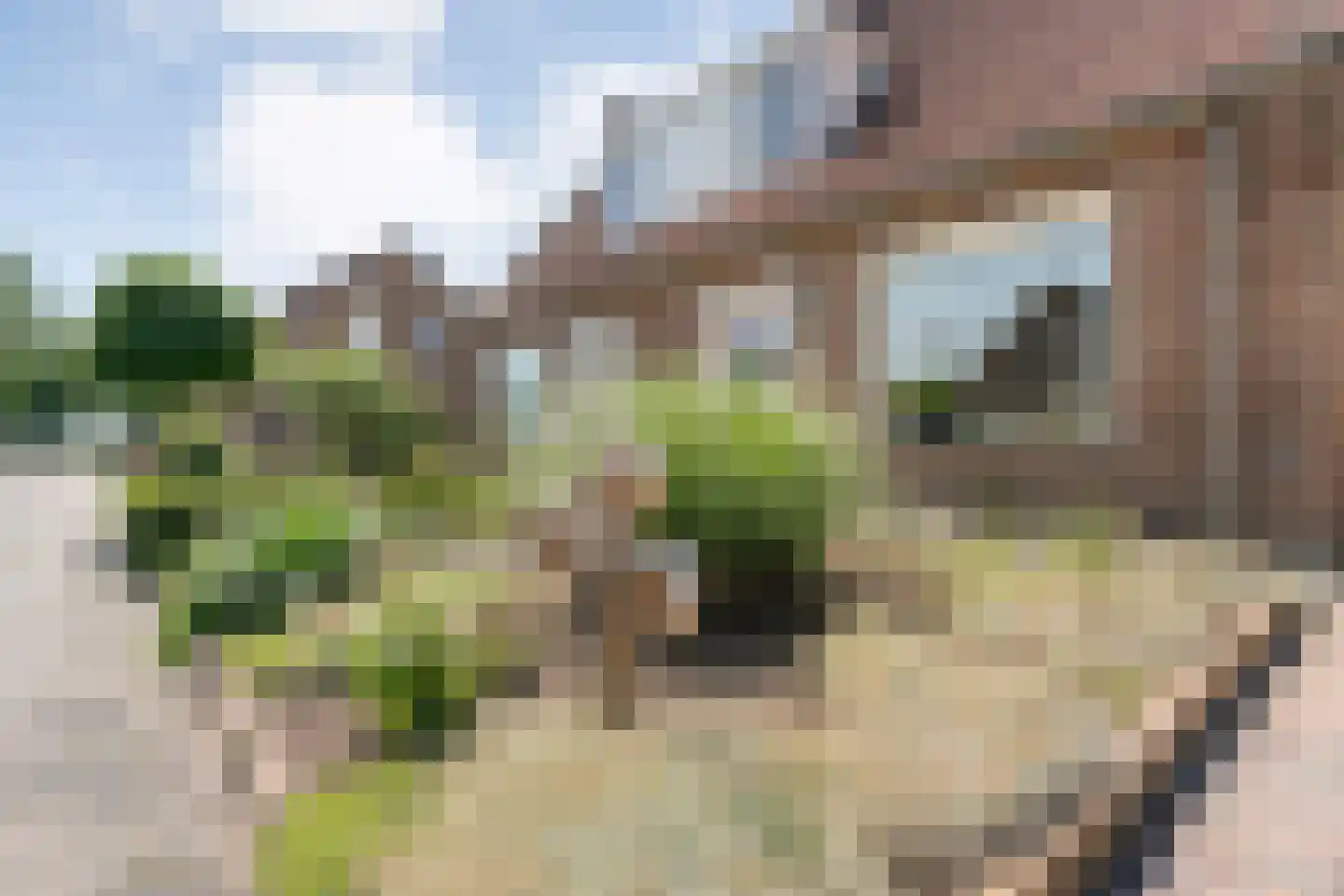 Scholtensstraat 14 Nieuw Heeten thumbnail 7