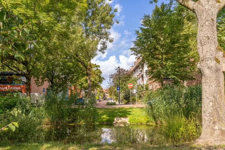 Scholtenstraat 66 Leiden thumbnail 42
