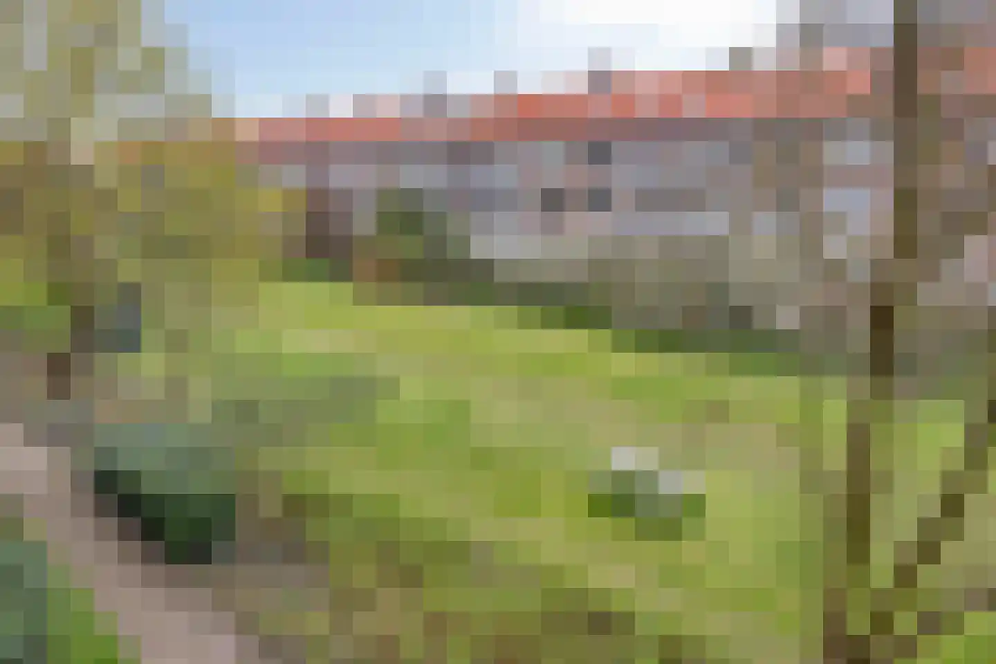 Scholtenstraat 76 Leiden thumbnail 37