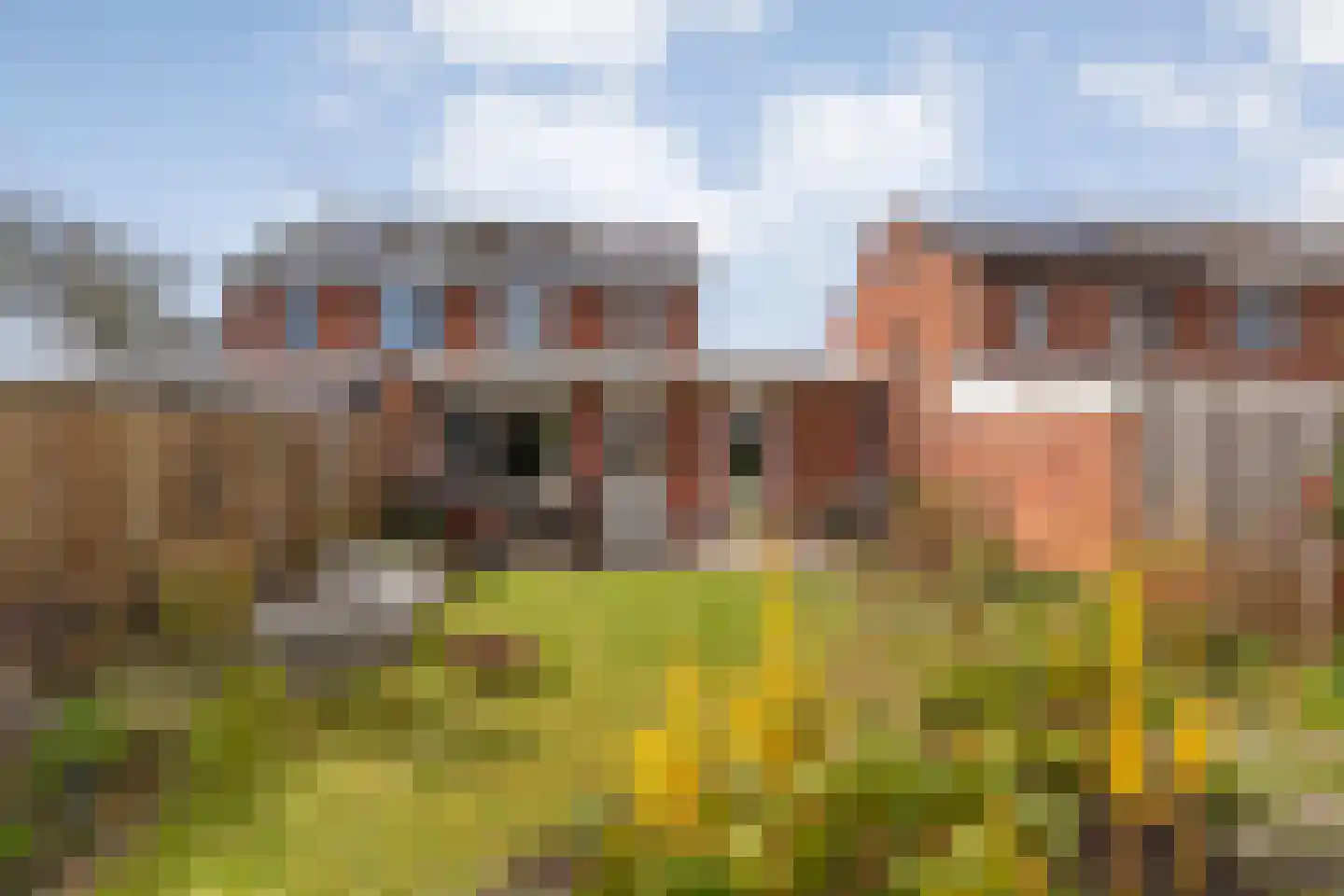 Scholtensweg 28 in Wesepe