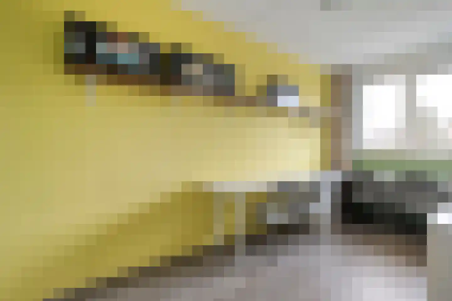 Scholtensweg 28 Wesepe thumbnail 28