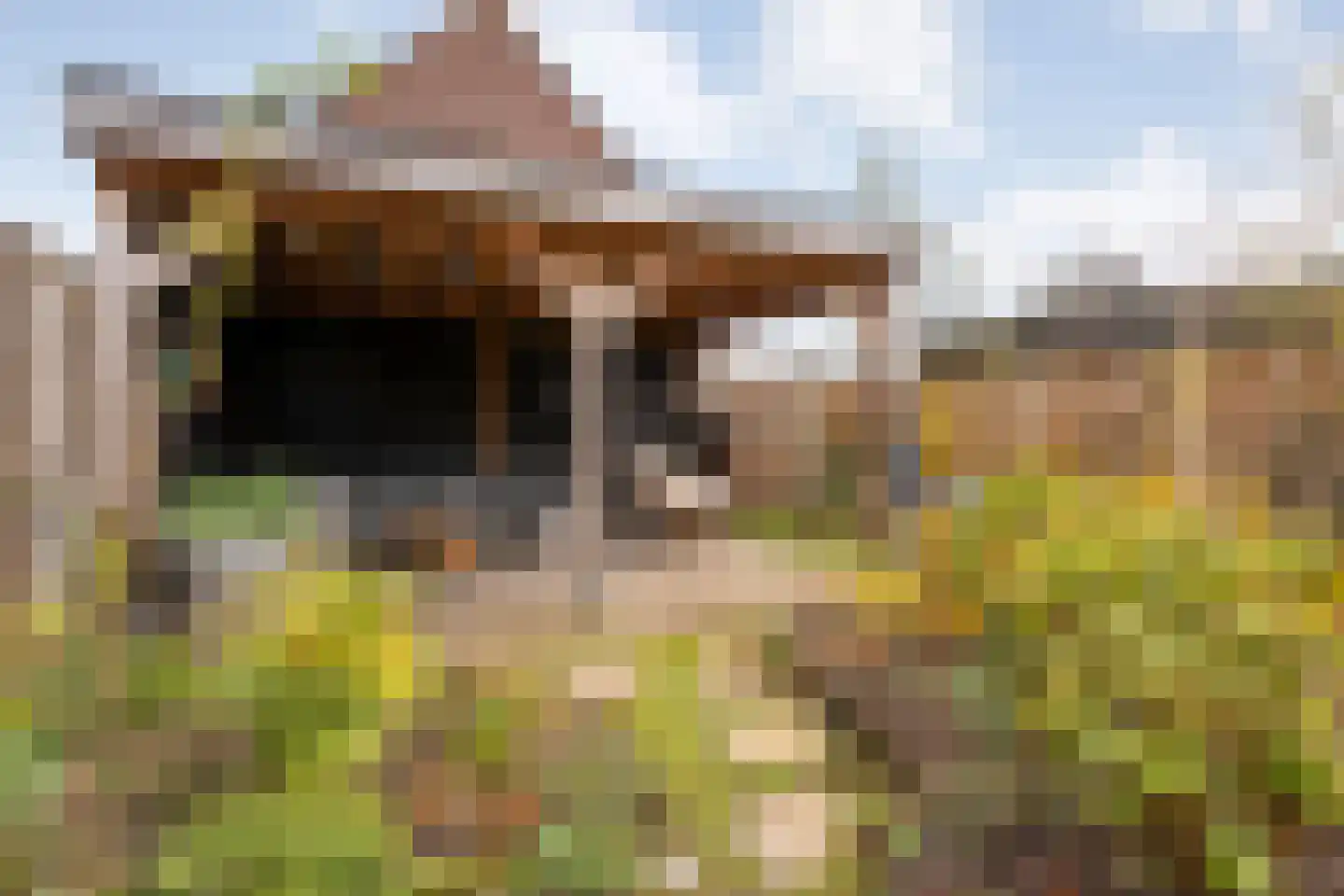Scholtensweg 28 Wesepe thumbnail 42