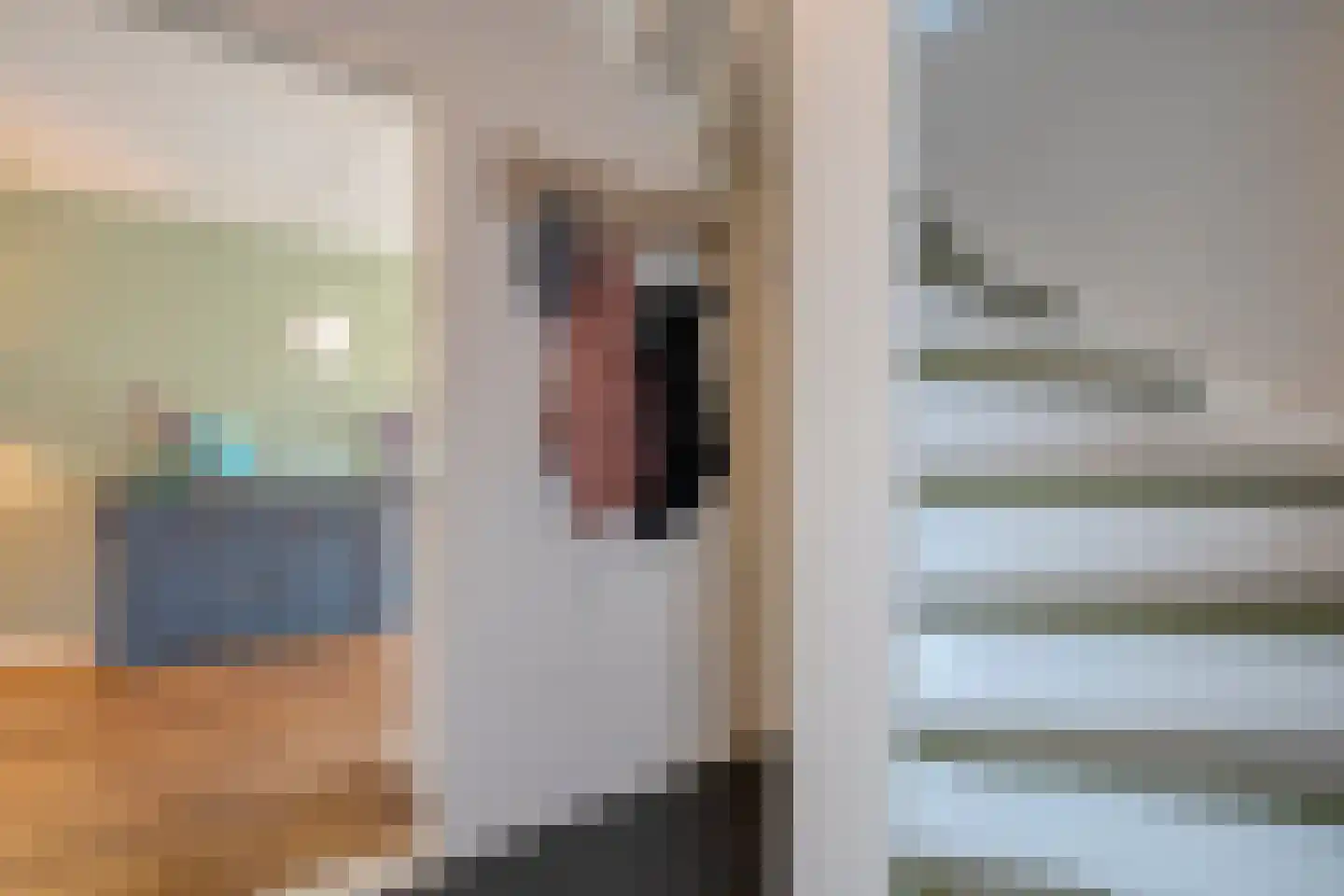 Scholtensweg 28 Wesepe thumbnail 9