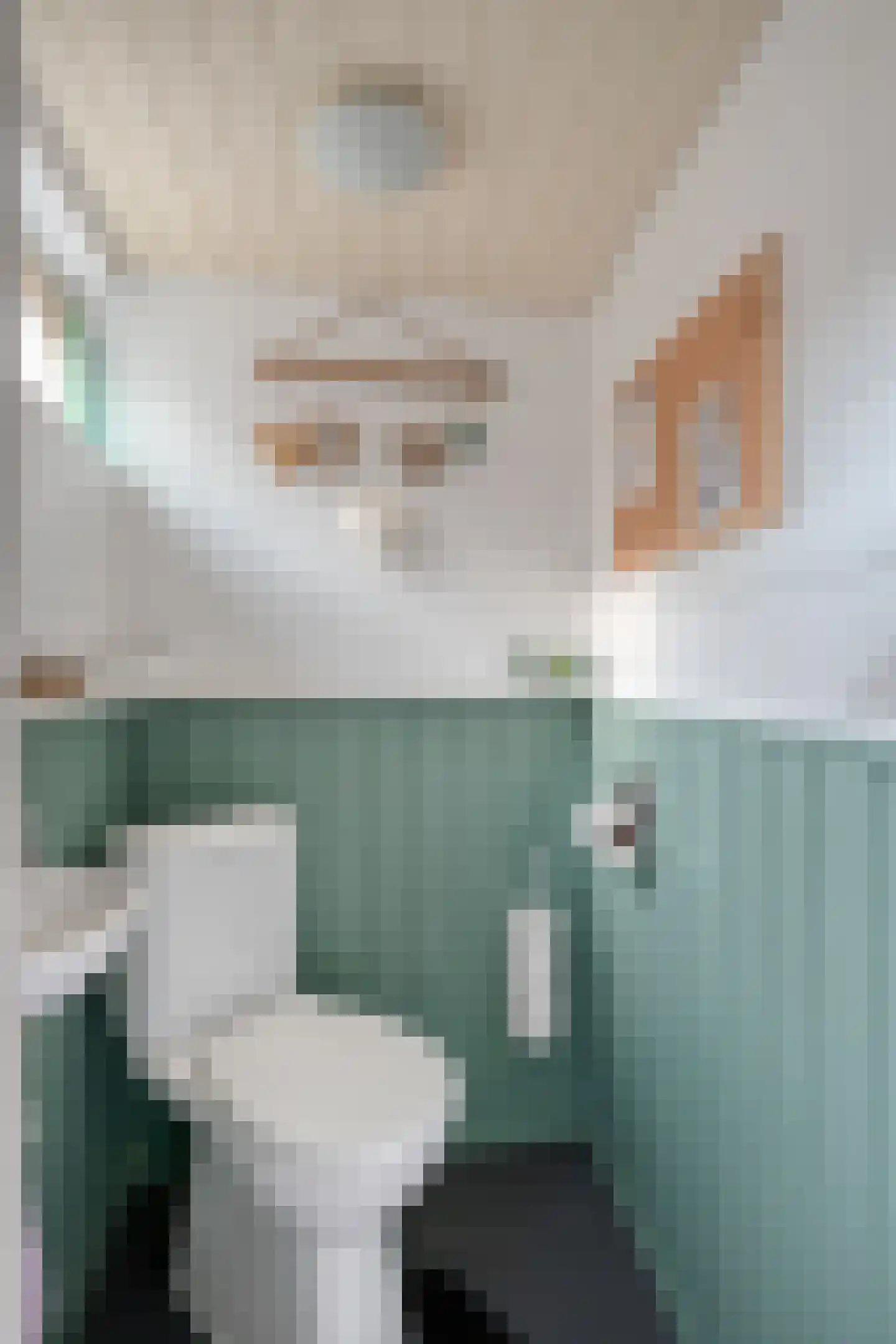 Scholtensweg 47 Wesepe thumbnail 18