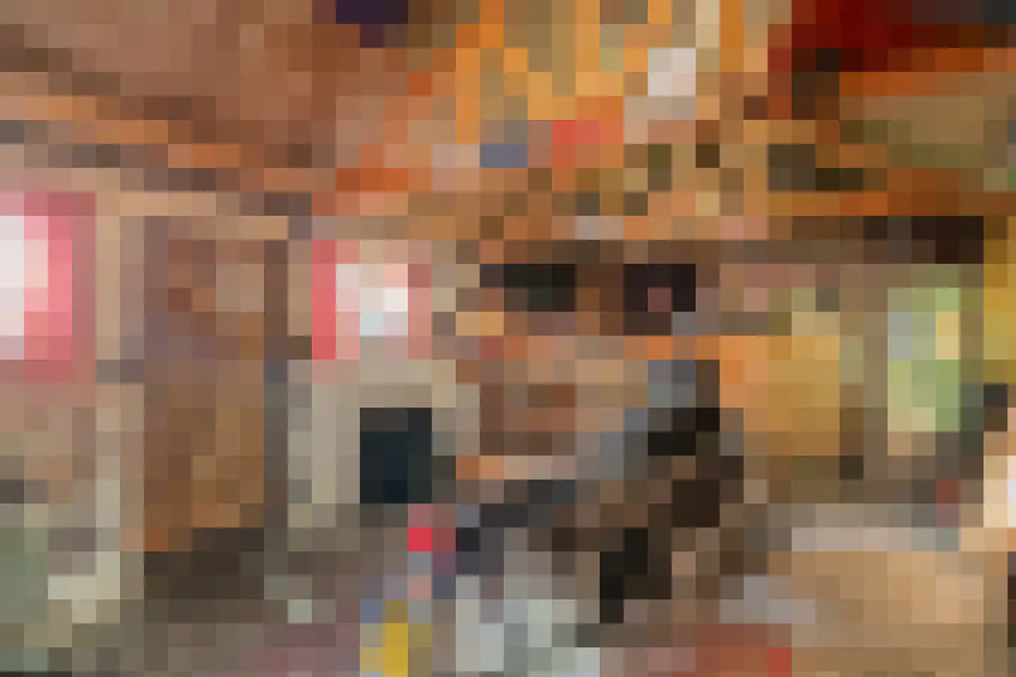 Scholtensweg 47 Wesepe thumbnail 39