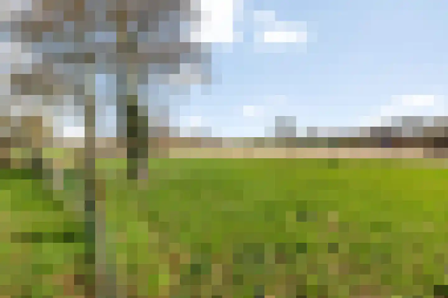Scholtensweg 50 Wesepe thumbnail 10