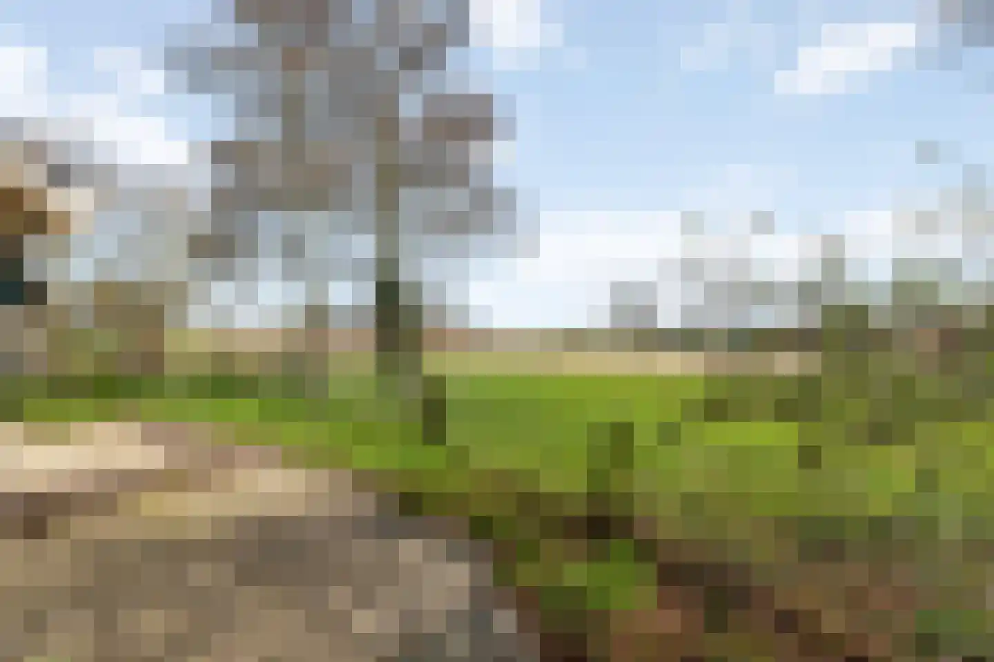 Scholtensweg 50 Wesepe thumbnail 11