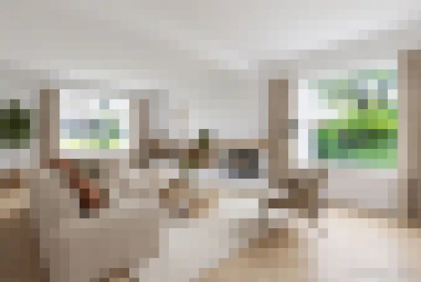 Scholtensweg 50 Wesepe thumbnail 18