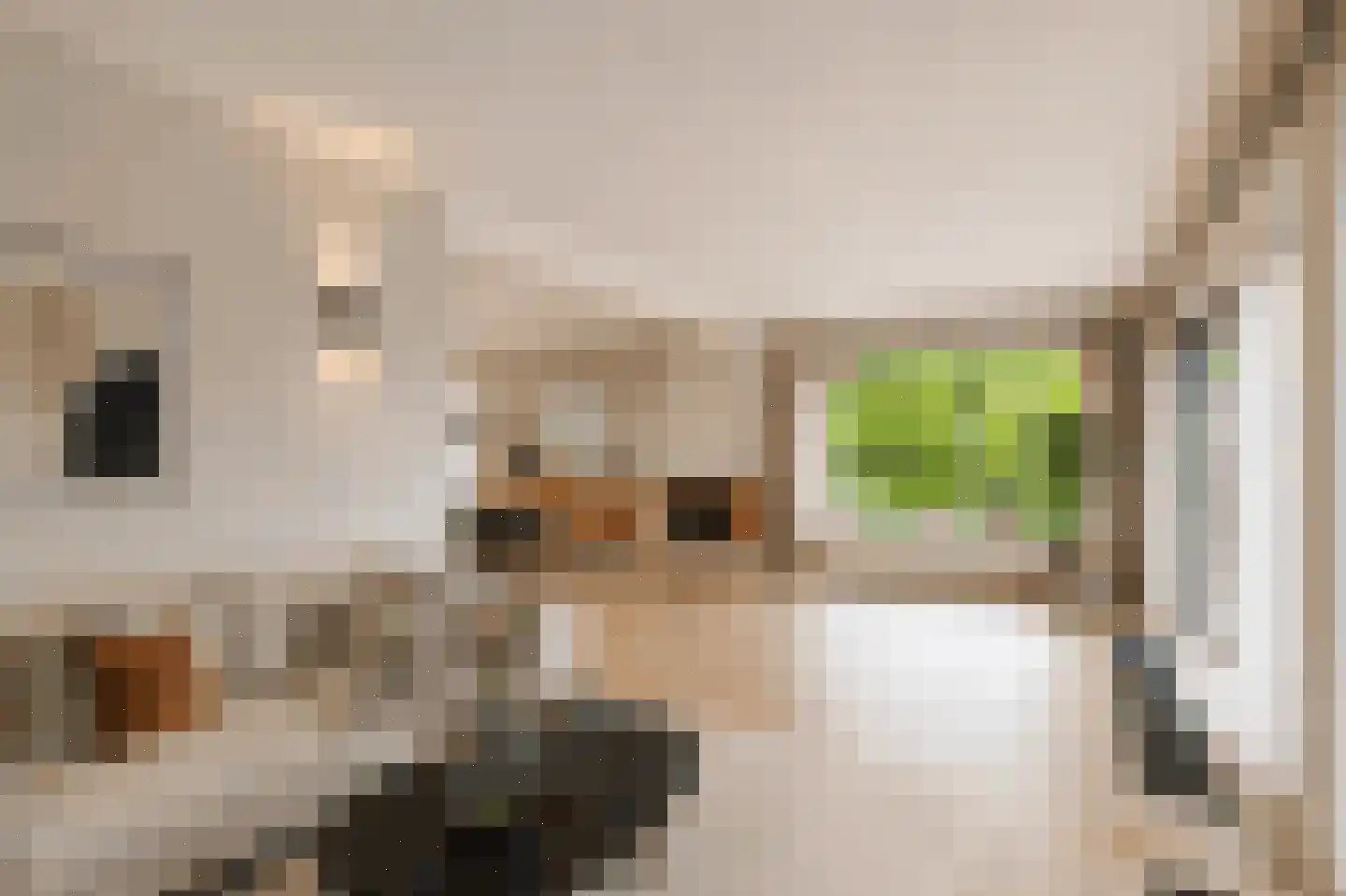 Scholtensweg 50 Wesepe thumbnail 18