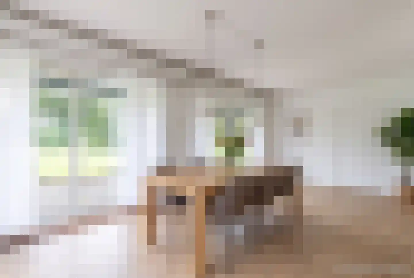Scholtensweg 50 Wesepe thumbnail 20