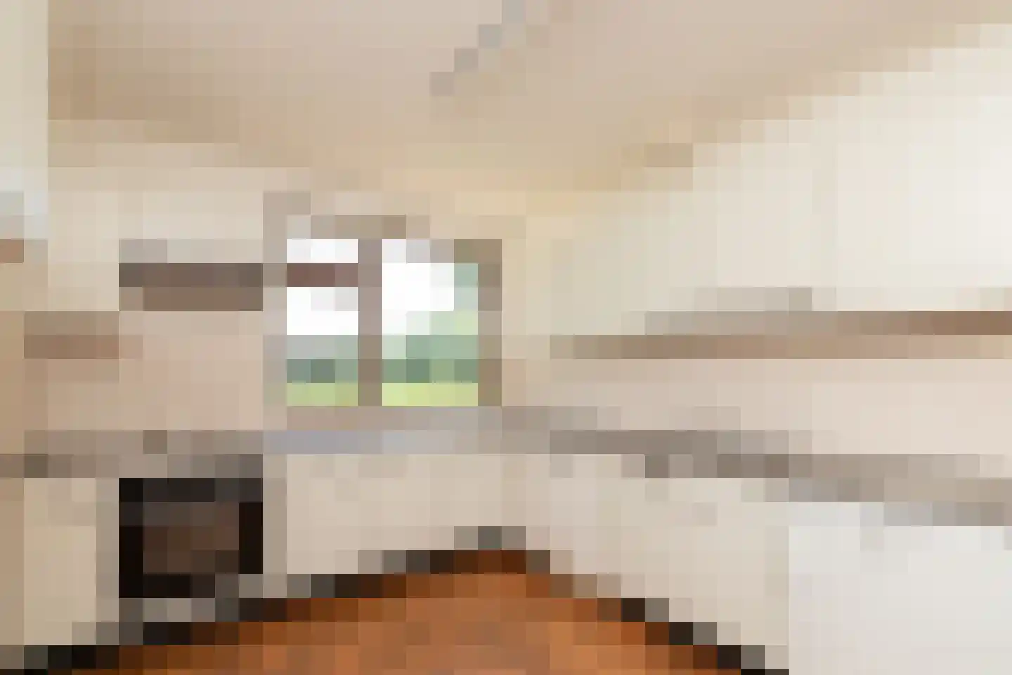 Scholtensweg 50 Wesepe thumbnail 23