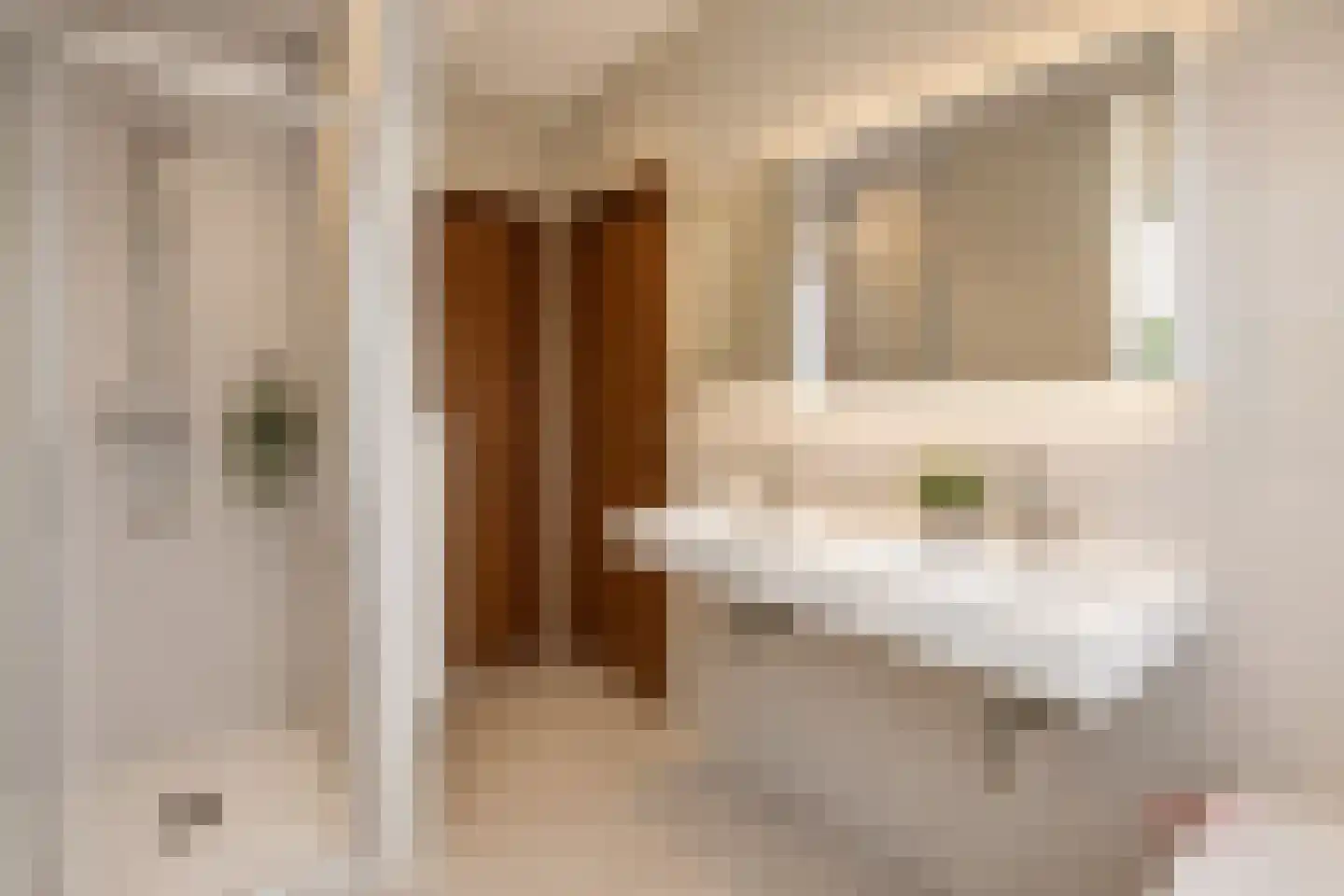 Scholtensweg 50 Wesepe thumbnail 28