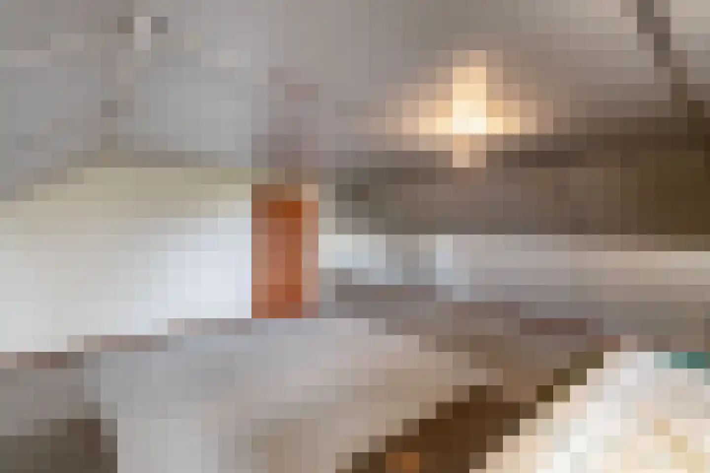 Scholtensweg 50 Wesepe thumbnail 30