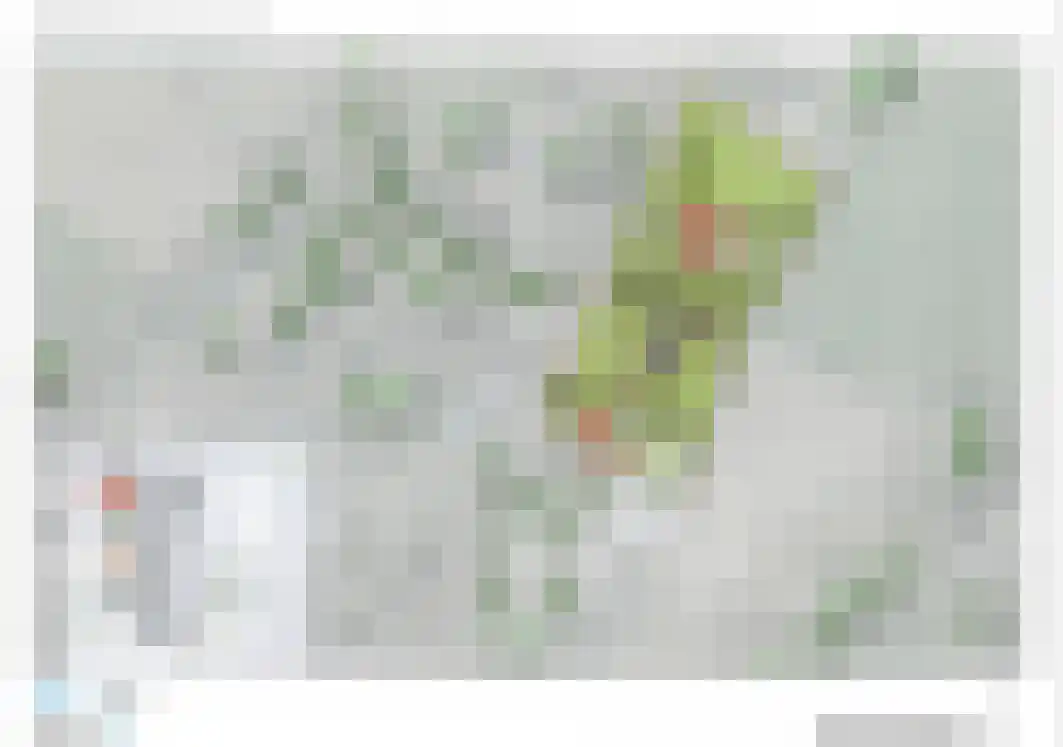 Scholtensweg 50 Wesepe thumbnail 37