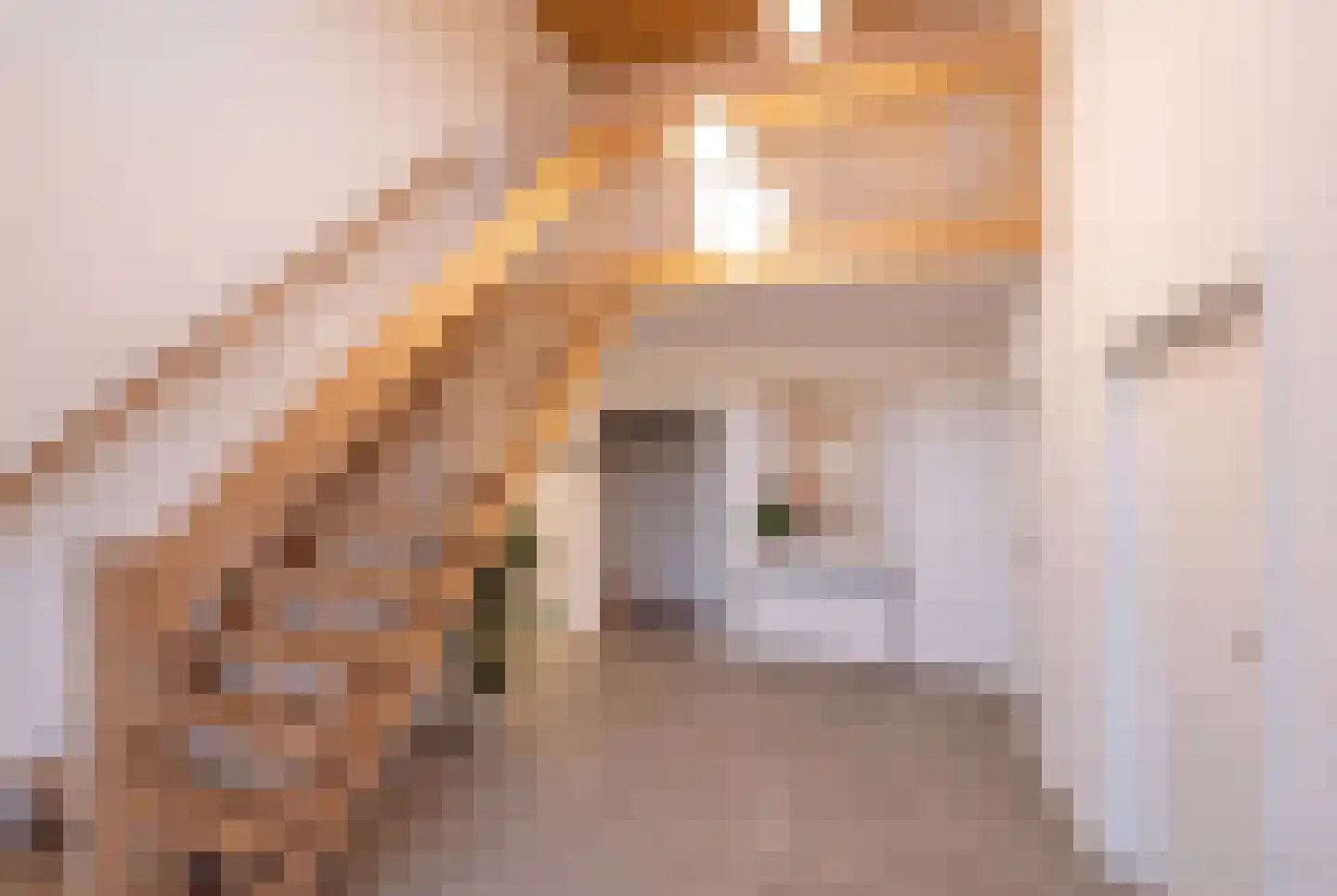 Scholtensweg 50 Wesepe thumbnail 37