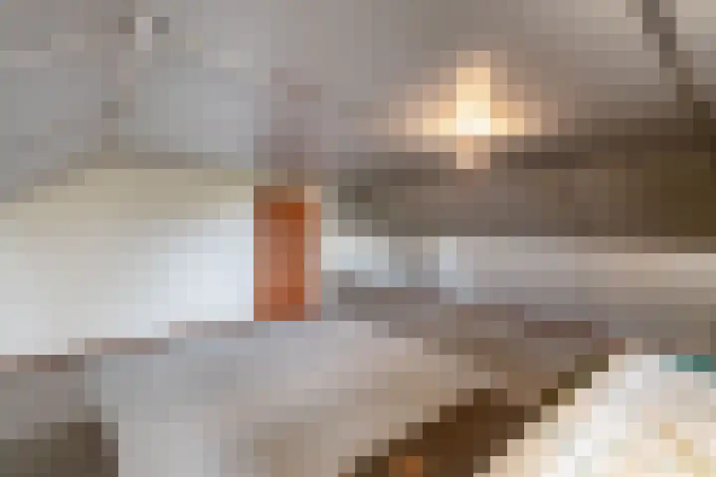 Scholtensweg 50 Wesepe thumbnail 38