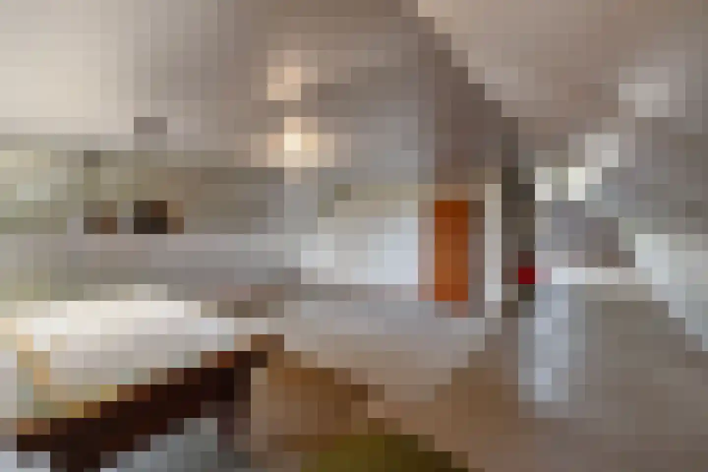 Scholtensweg 50 Wesepe thumbnail 39