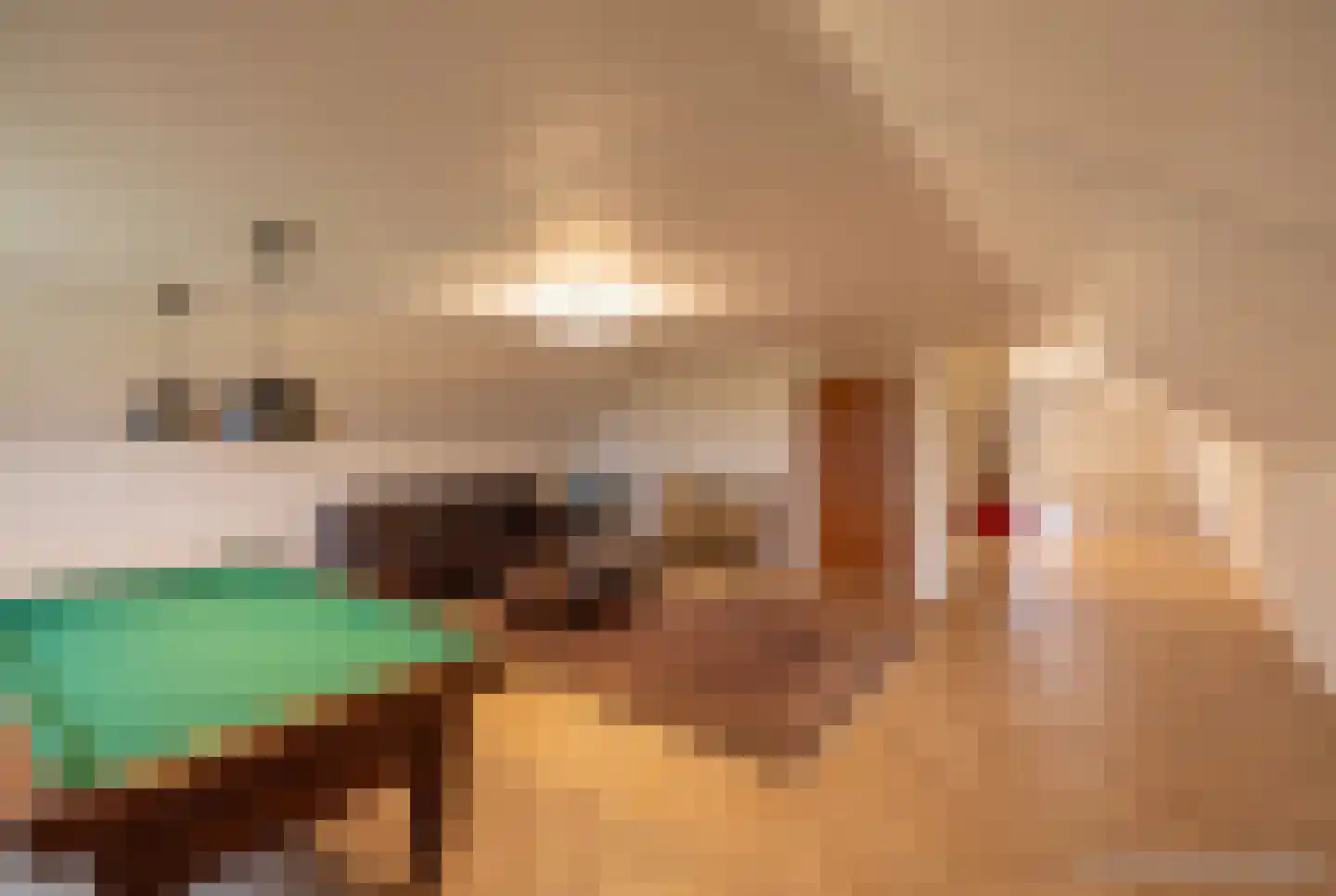 Scholtensweg 50 Wesepe thumbnail 40