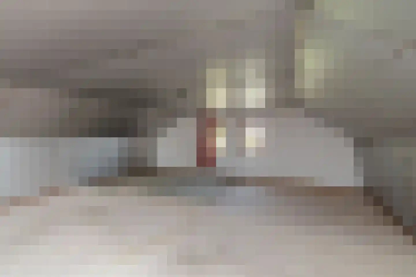 Scholtensweg 50 Wesepe thumbnail 42
