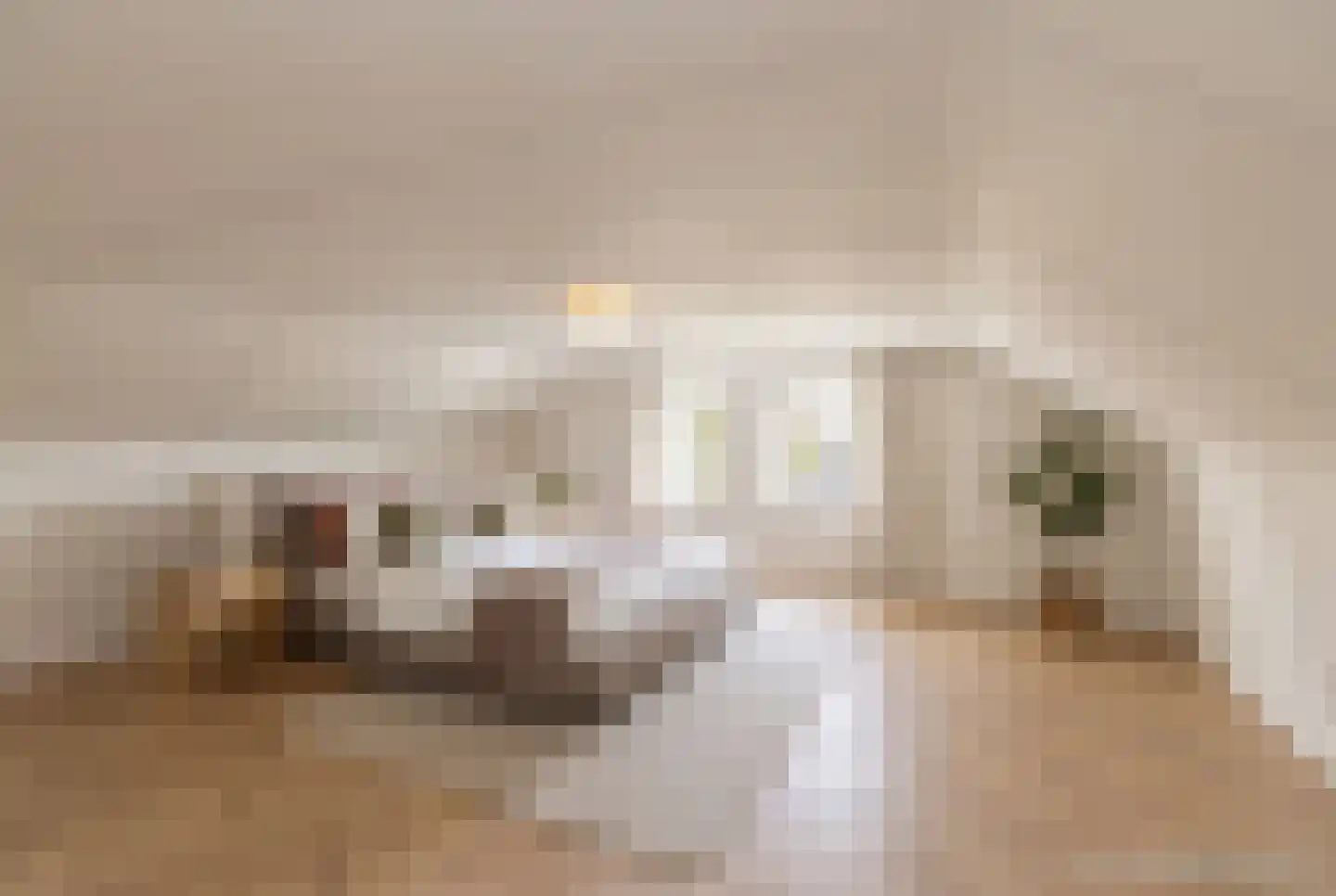 Scholtensweg 50 Wesepe thumbnail 43