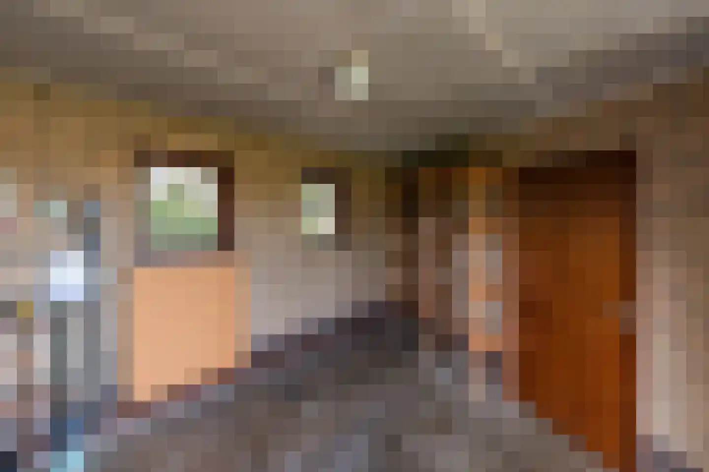 Scholtensweg 50 Wesepe thumbnail 46