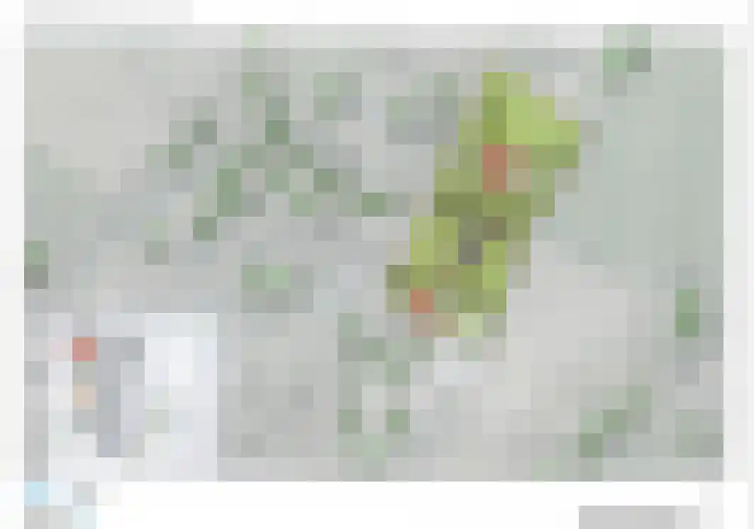 Scholtensweg 50 Wesepe thumbnail 47
