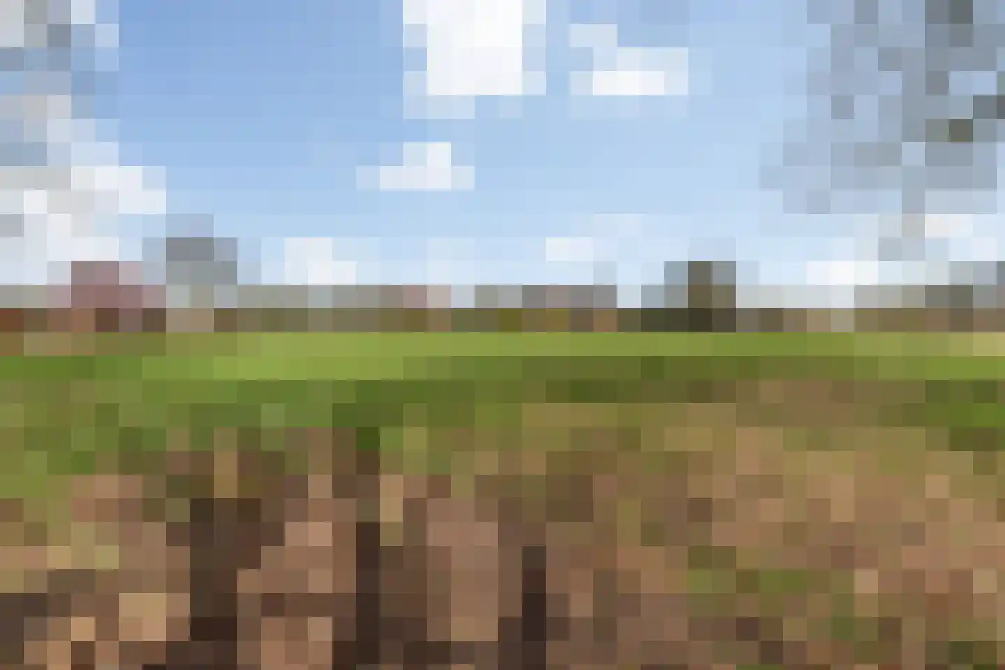 Scholtensweg 50 Wesepe thumbnail 9