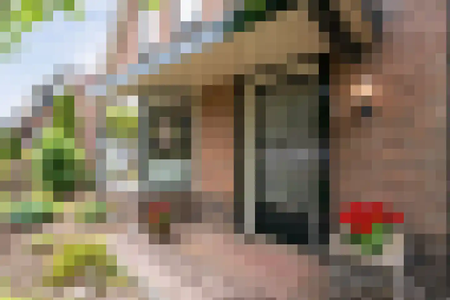 Scholtensweg 53 Wesepe thumbnail 10