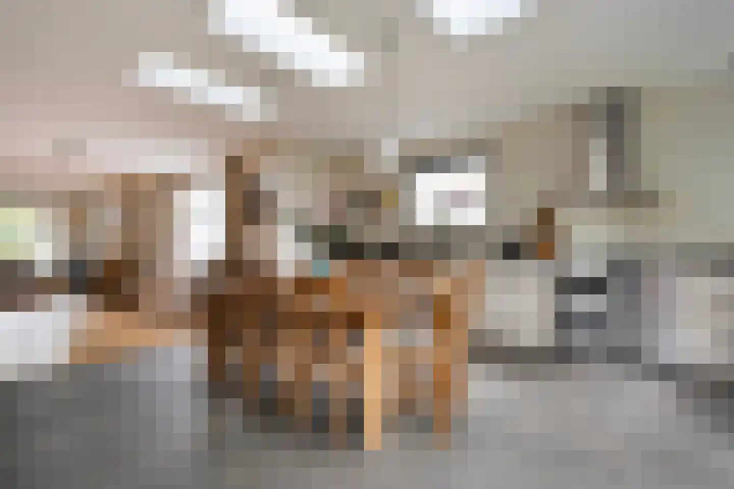 Scholtensweg 53 Wesepe thumbnail 12