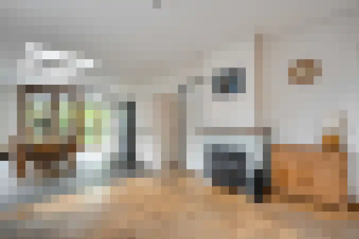 Scholtensweg 53 Wesepe thumbnail 17