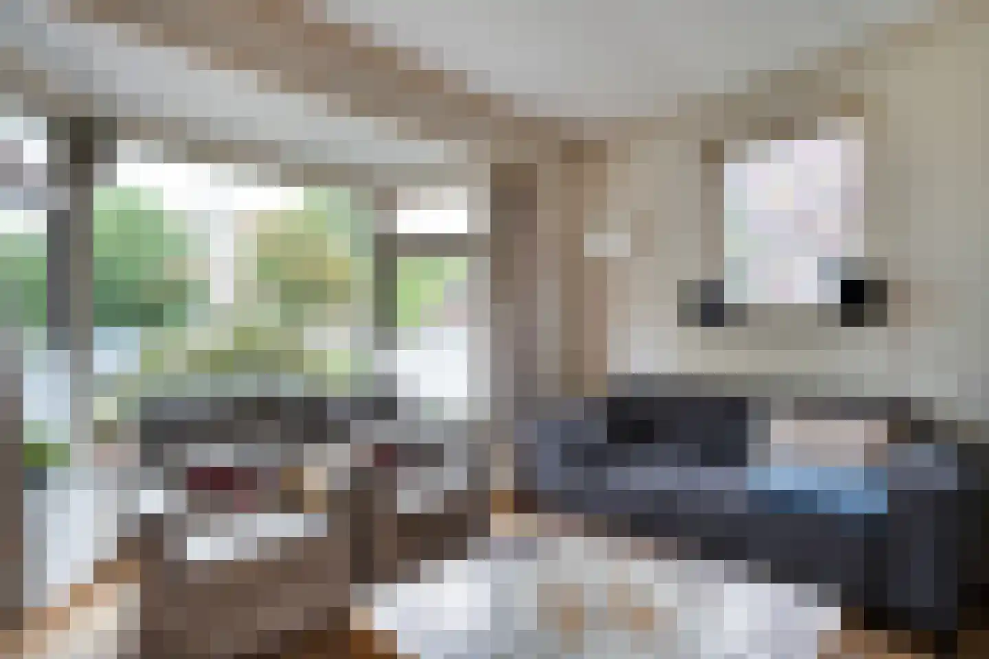 Scholtensweg 53 Wesepe thumbnail 19