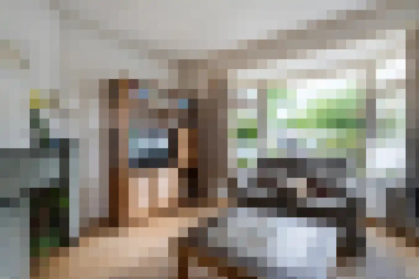 Scholtensweg 53 Wesepe thumbnail 20
