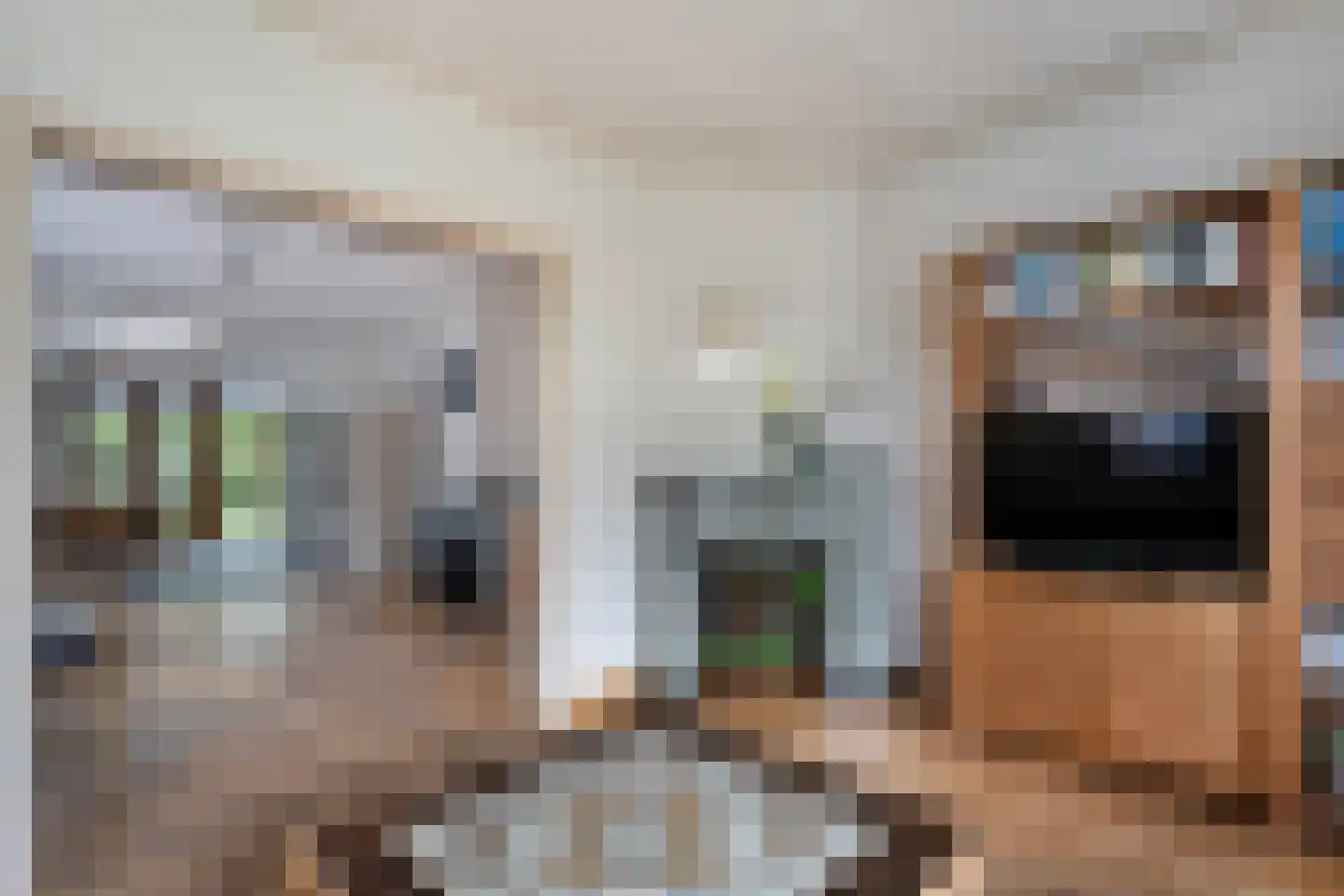 Scholtensweg 53 Wesepe thumbnail 22