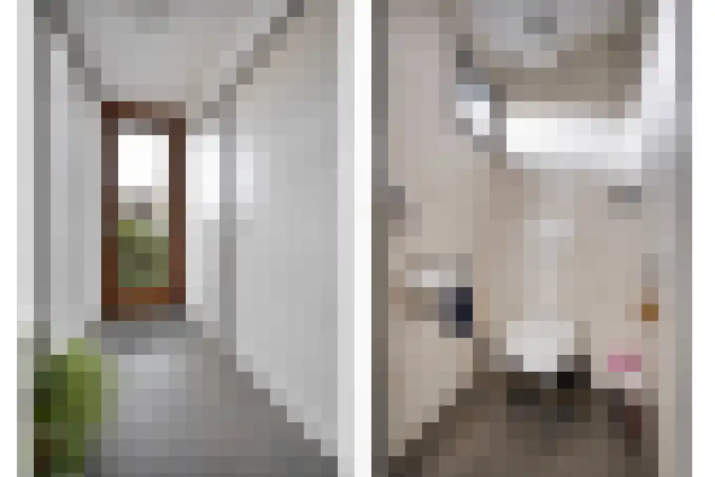 Scholtensweg 53 Wesepe thumbnail 26