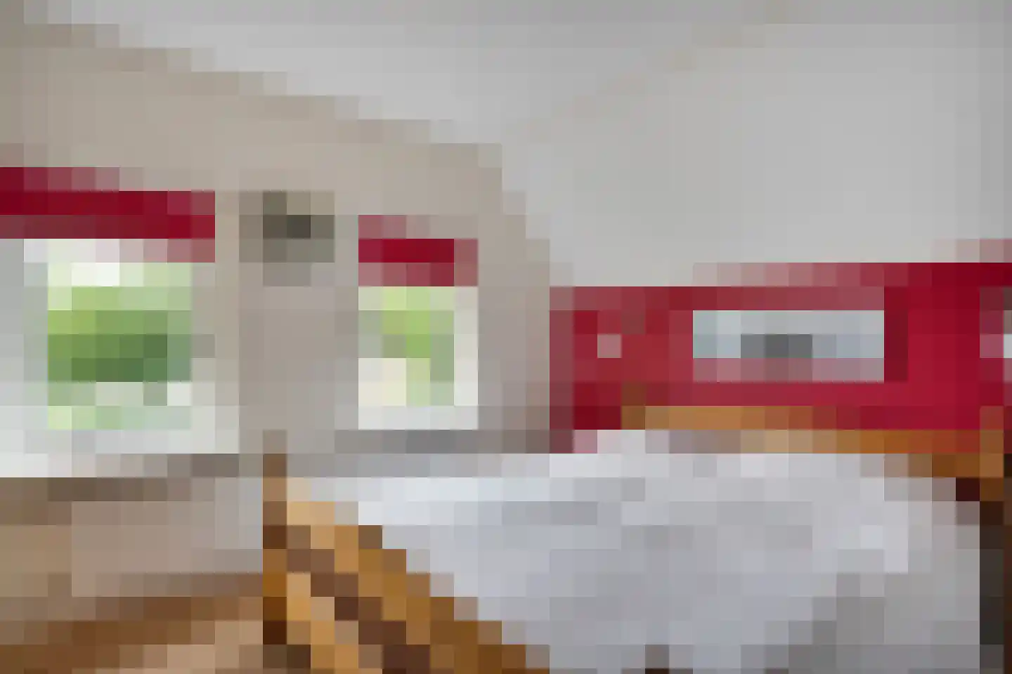 Scholtensweg 53 Wesepe thumbnail 29