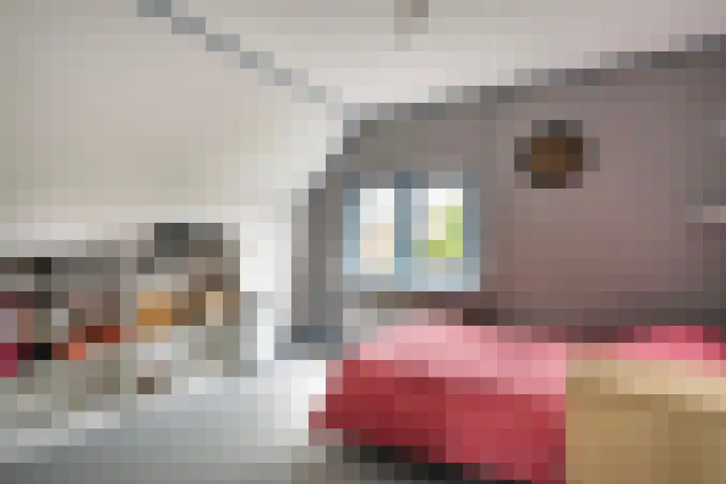 Scholtensweg 53 Wesepe thumbnail 31