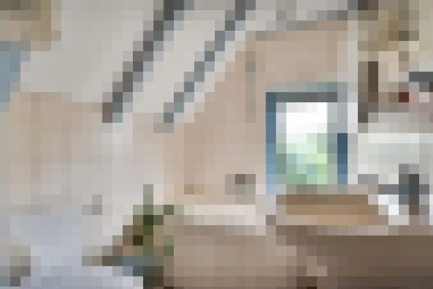 Scholtensweg 53 Wesepe thumbnail 35