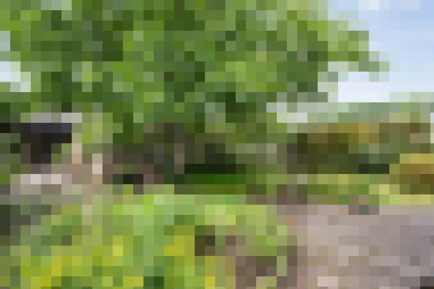 Scholtensweg 53 Wesepe thumbnail 37