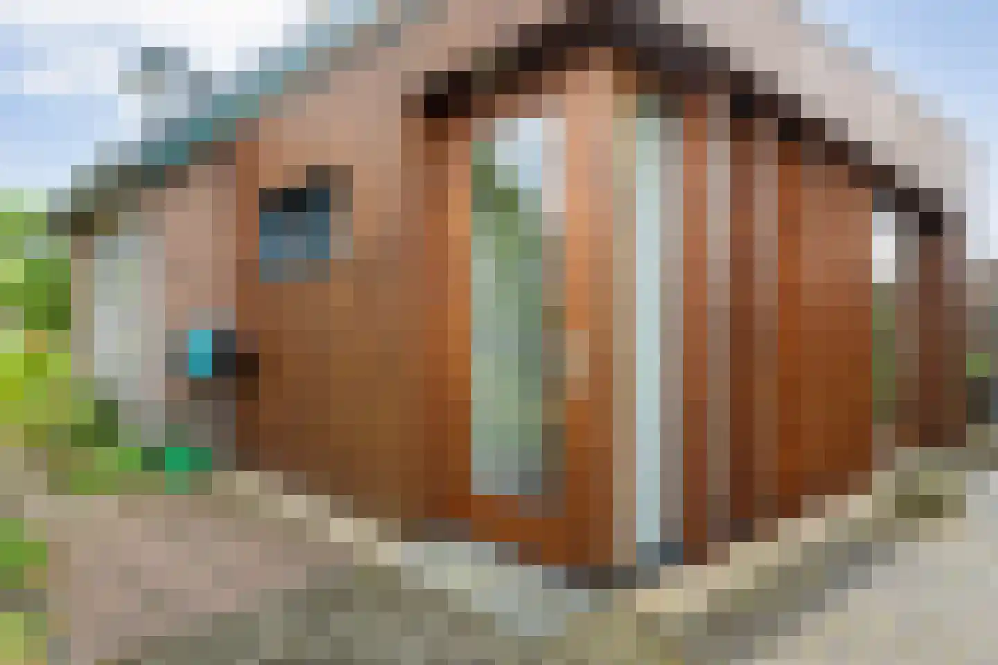 Scholtensweg 53 Wesepe thumbnail 38