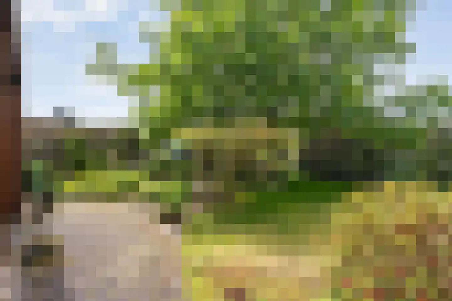 Scholtensweg 53 Wesepe thumbnail 40