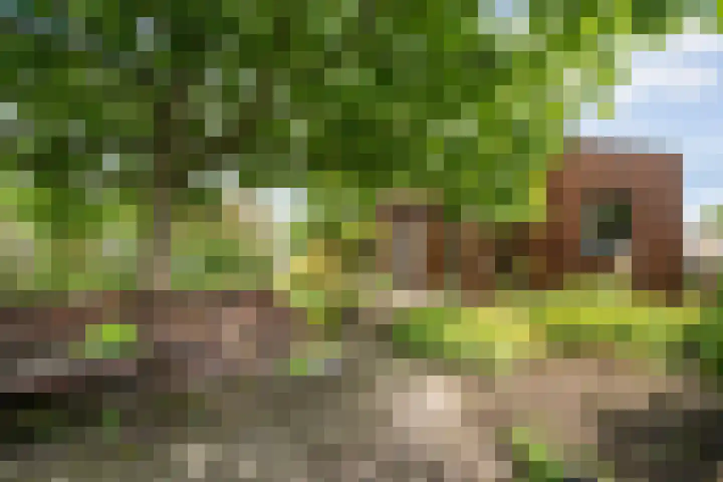 Scholtensweg 53 Wesepe thumbnail 41