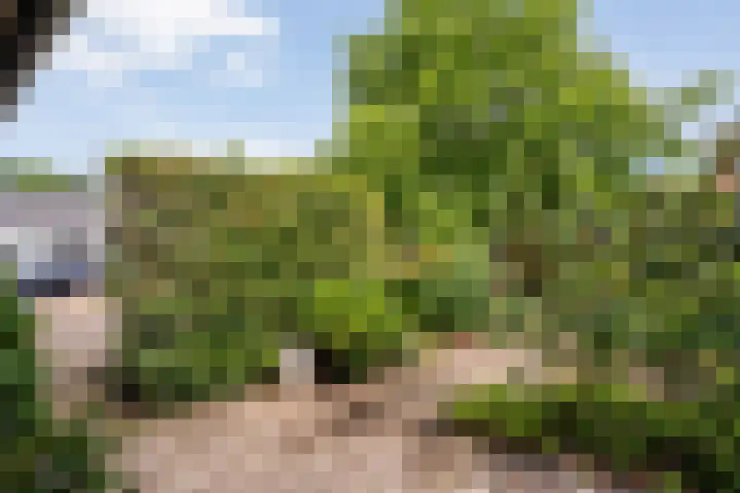 Scholtensweg 53 Wesepe thumbnail 43
