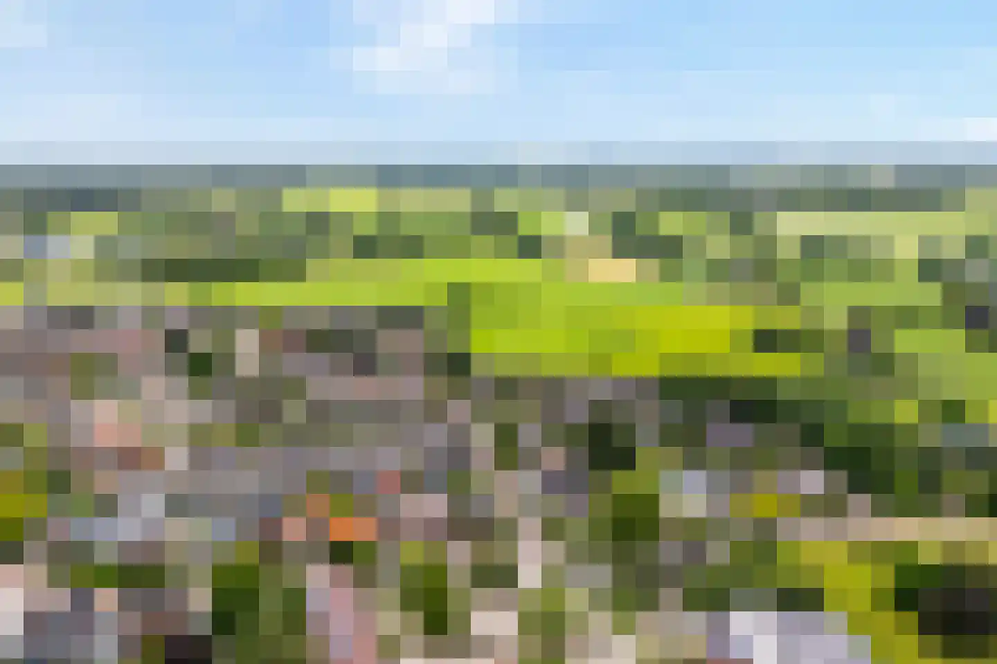 Scholtensweg 53 Wesepe thumbnail 6