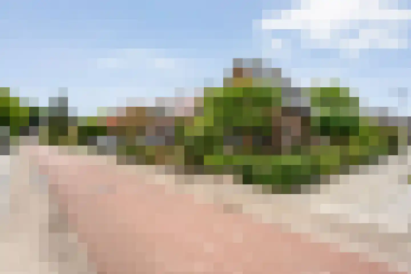 Scholtensweg 53 Wesepe thumbnail 7