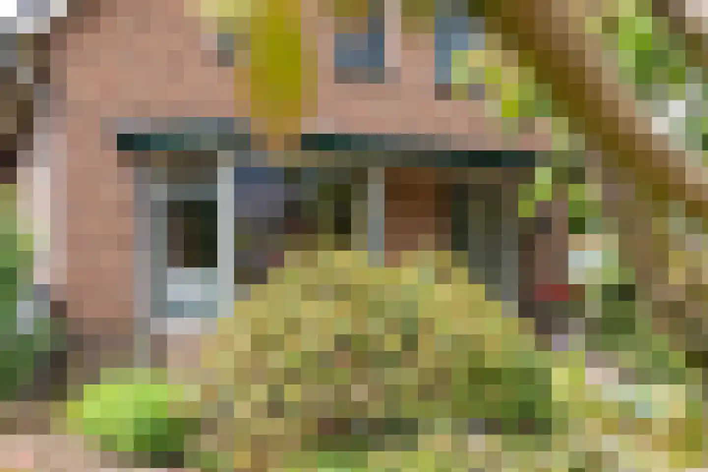 Scholtensweg 53 Wesepe thumbnail 9