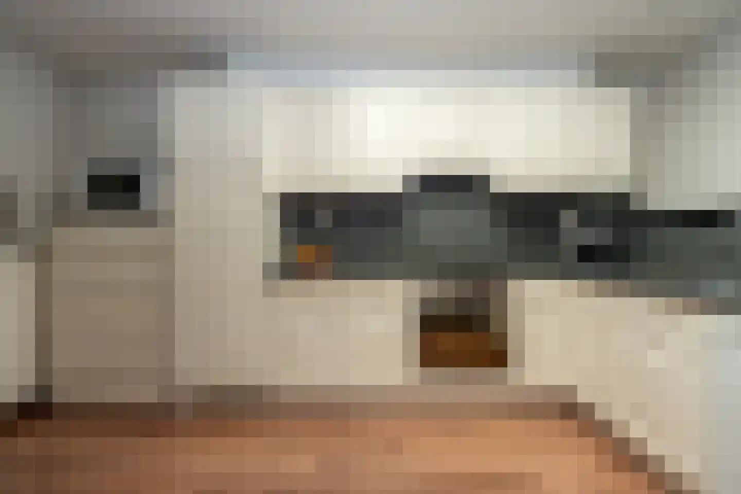 Scholthuizen 24 Veendam thumbnail 15