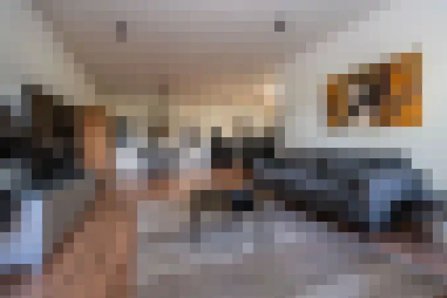 Scholthuizen 24 Veendam thumbnail 4