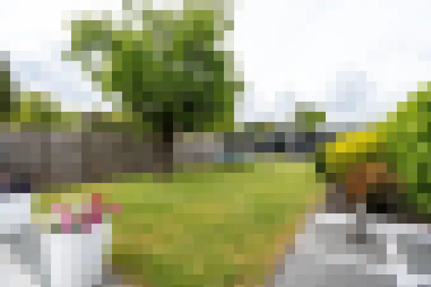 Scholthuizen 24 Veendam thumbnail 47