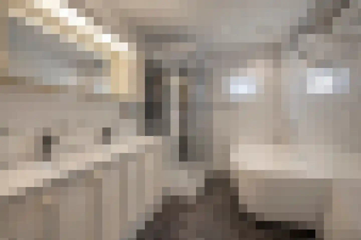 Scholthuizen 8 Veendam thumbnail 22